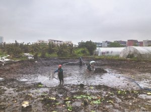 昌邑河道鱼塘清淤